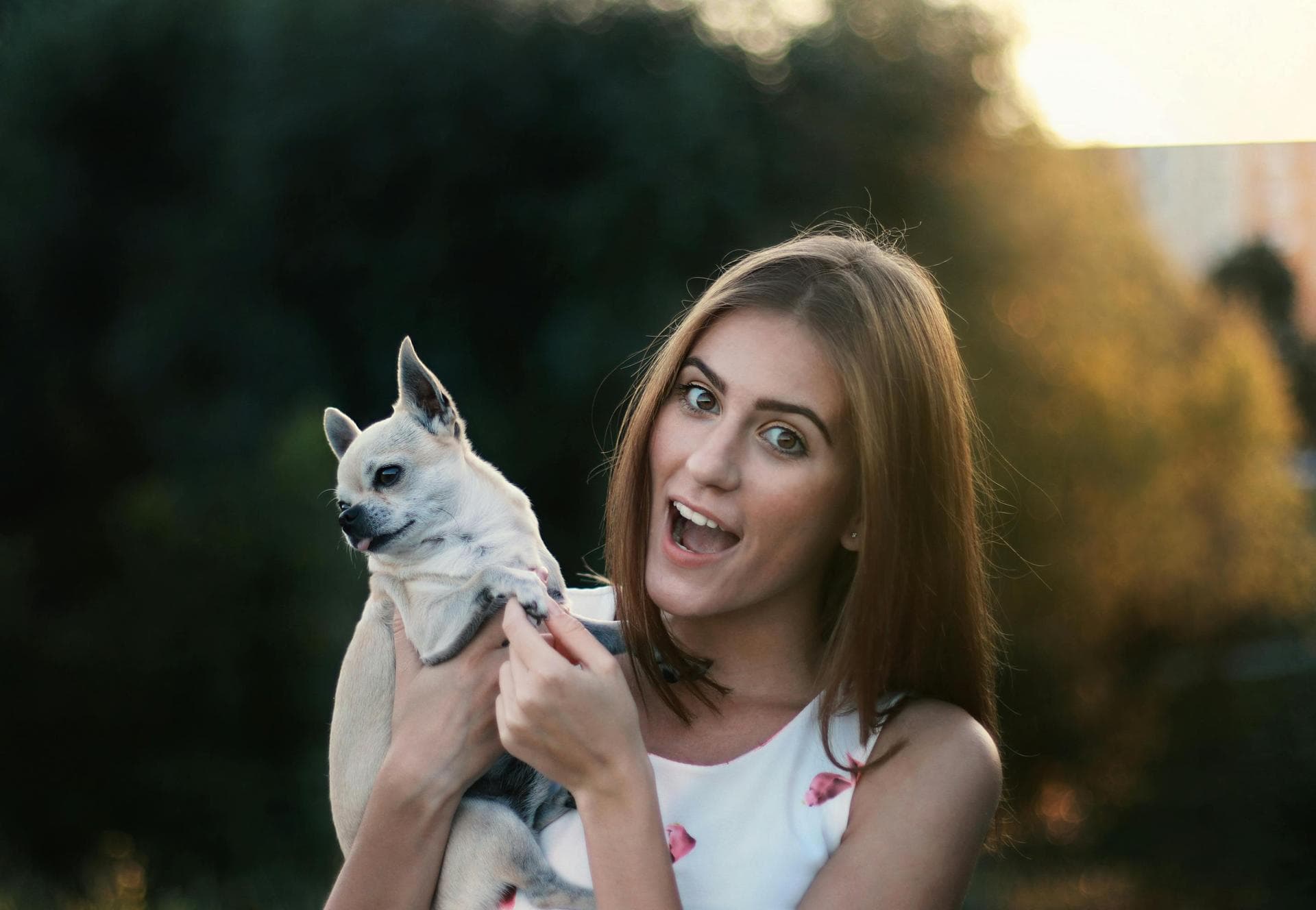 Dog & Cat Vets in Incline Village