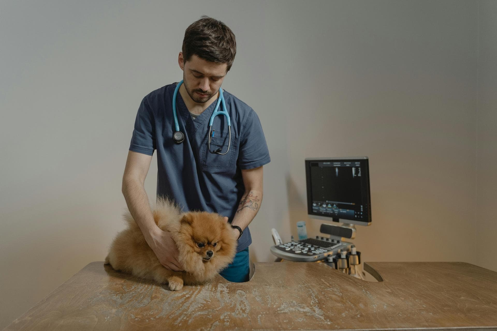 Dog & Cat Vets in Winnemucca